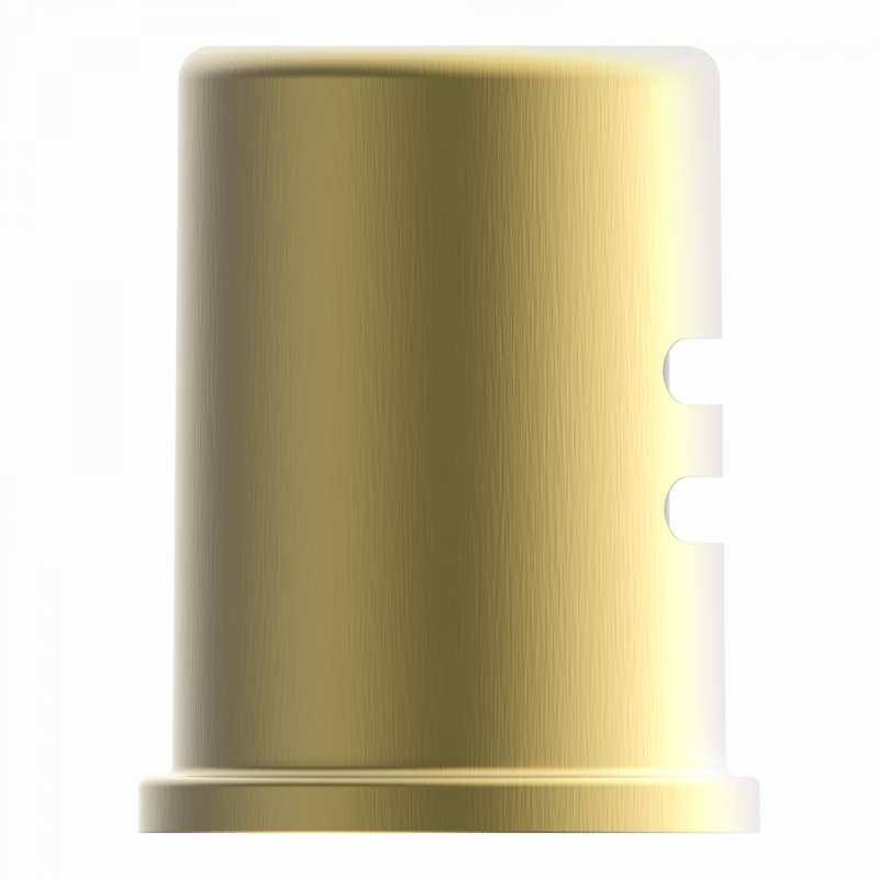 Air Gap, for Dishwasher in brushed gold