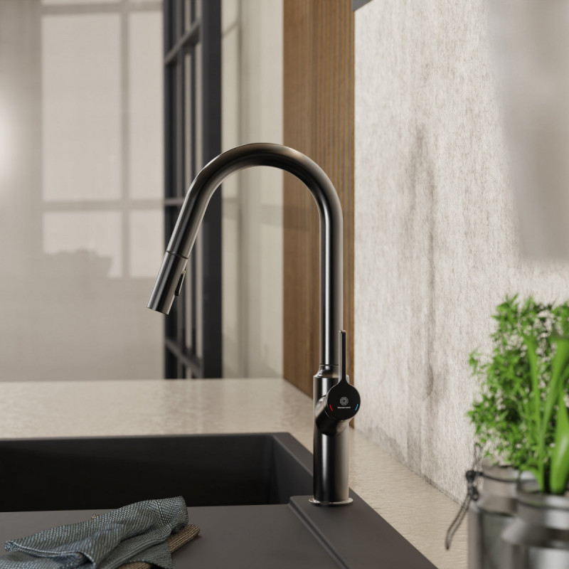 Okab, Kitchen faucet with curved spout and pull-down spray in matte graphite