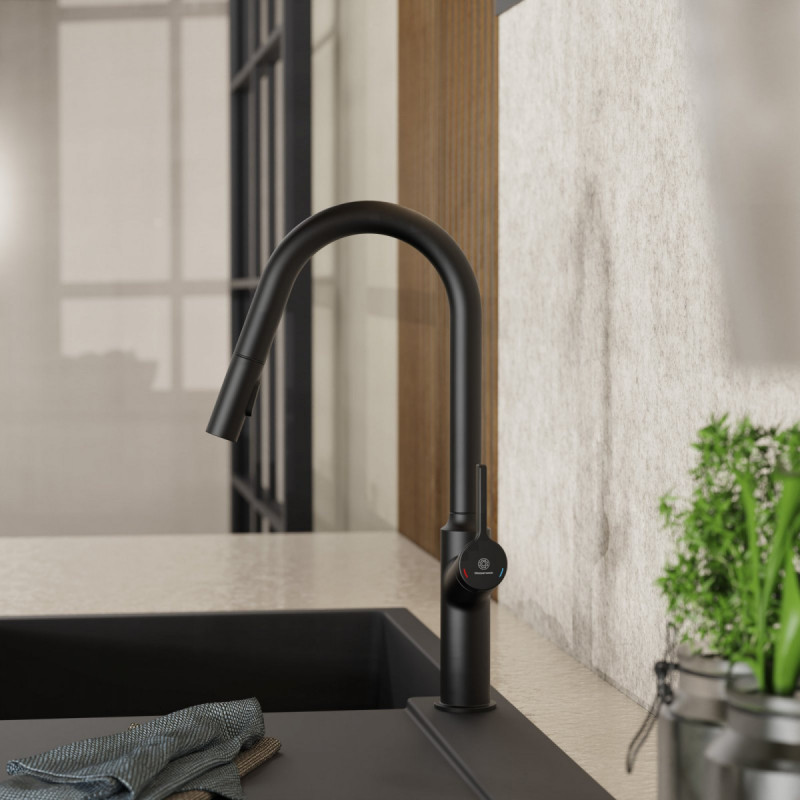 Okab, Kitchen faucet with curved spout and pull-down spray in matte black