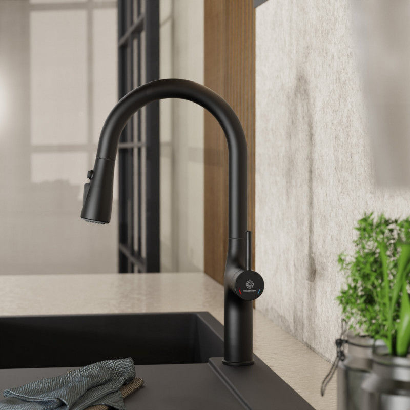 Maia, Kitchen faucet with arched spout and pull-down spray in matte black