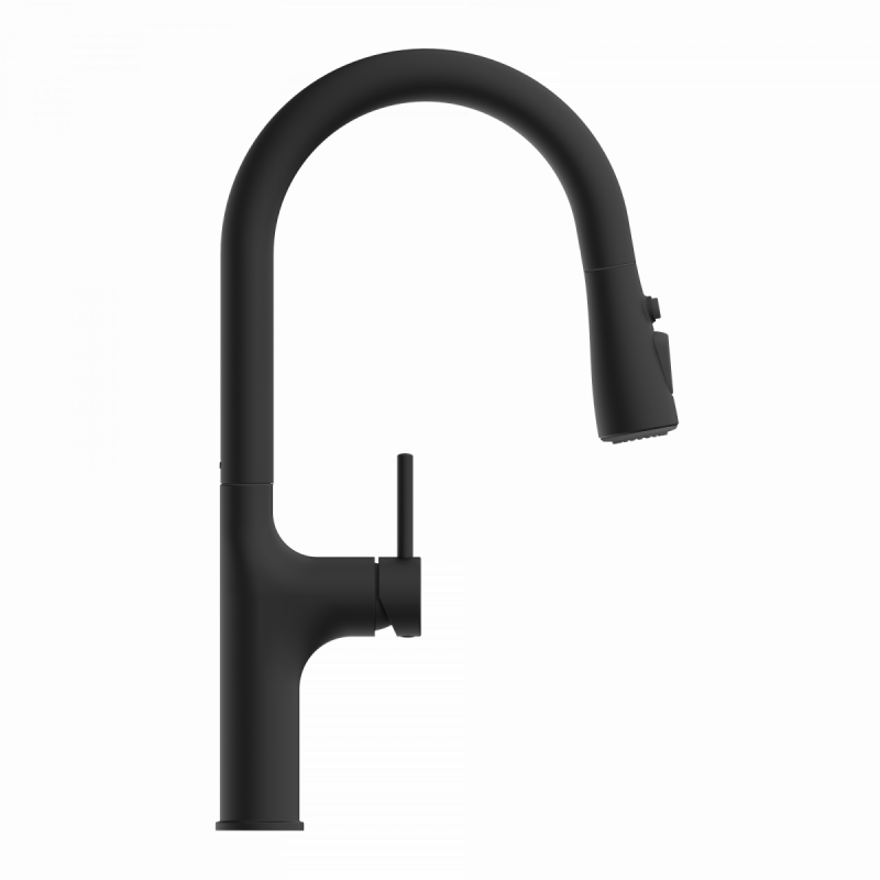 Maia, Kitchen faucet with arched spout and pull-down spray in matte black