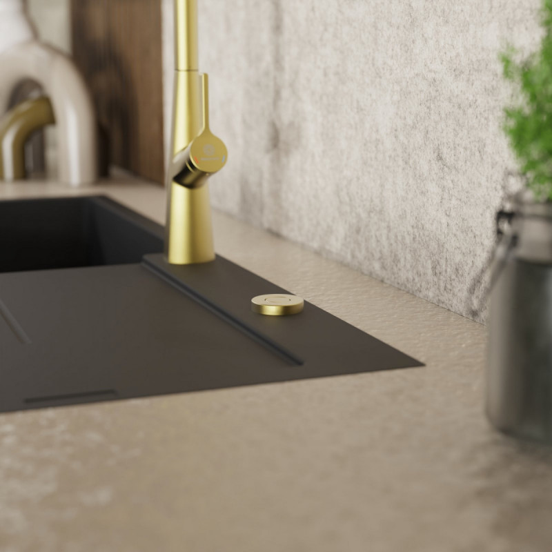 Air Switch, Garbage disposal operating button in brushed gold