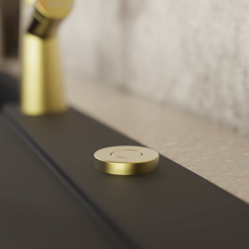Air Switch, Garbage disposal operating button in brushed gold