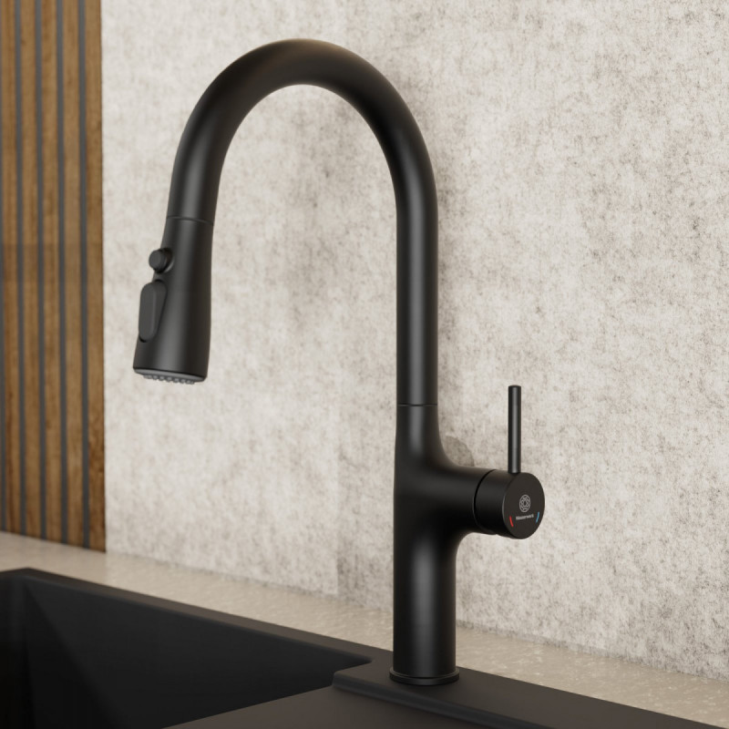 Maia, Kitchen faucet with arched spout and pull-down spray in matte black