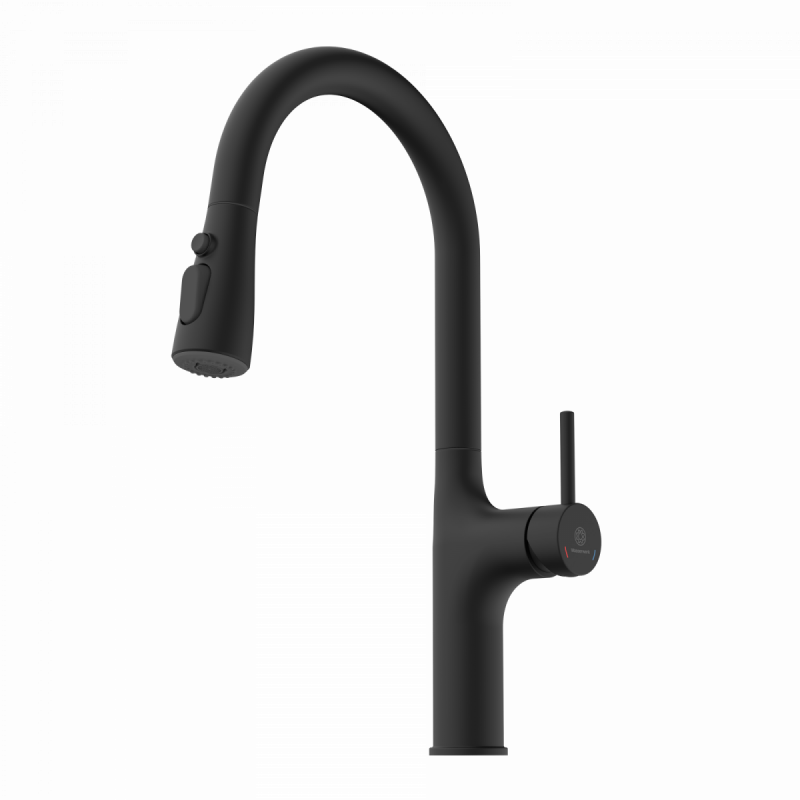 Maia, Kitchen faucet with arched spout and pull-down spray in matte black