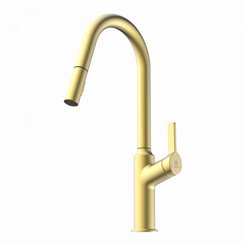 Okab, Kitchen faucet with curved spout and pull-down spray in brushed gold
