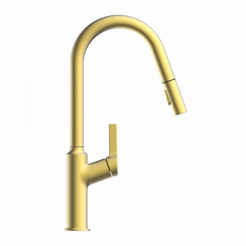 Okab, Kitchen faucet with curved spout and pull-down spray in brushed gold