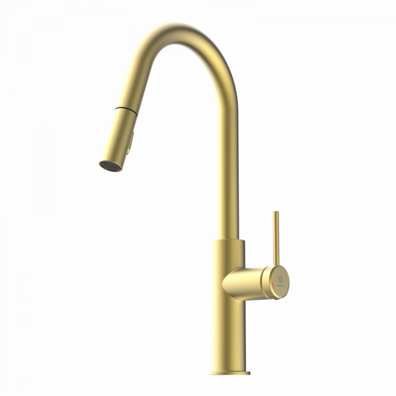 Rana Curve, Kitchen faucet with curved spout and pull-down spray in brushed gold