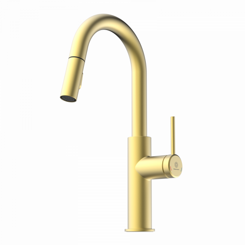 Rana Prep, Kitchen faucet with low curved spout and pull-down spray in brushed gold