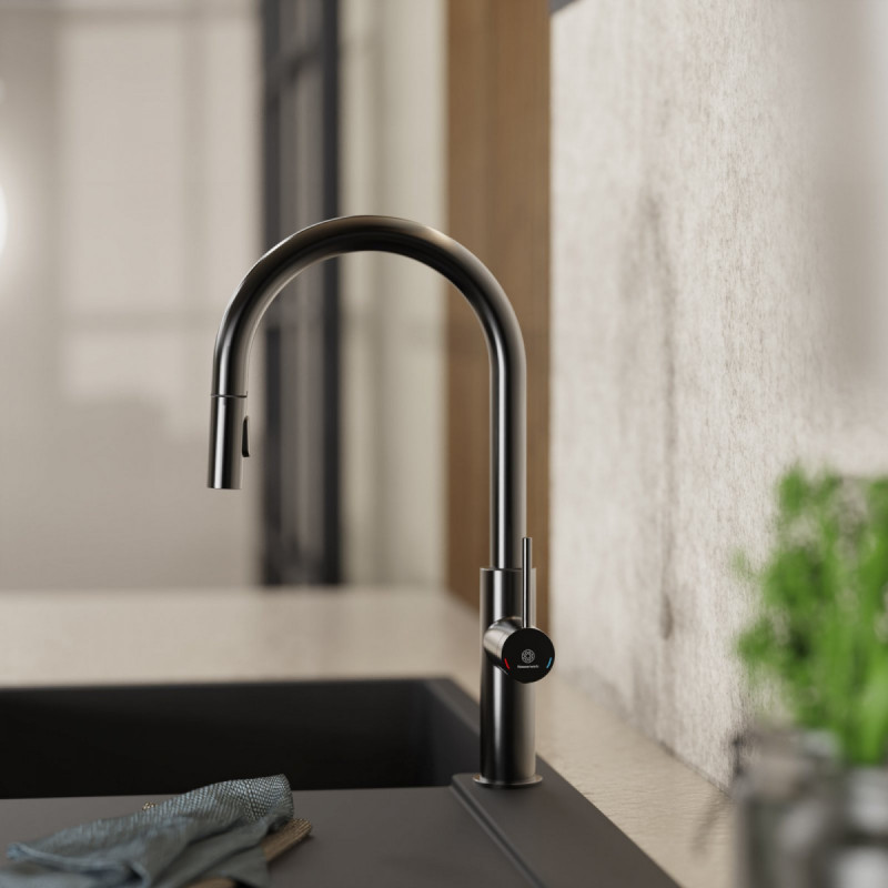 Rana Sphere, Kitchen faucet with curved spout and pull-down spray in matte graphite