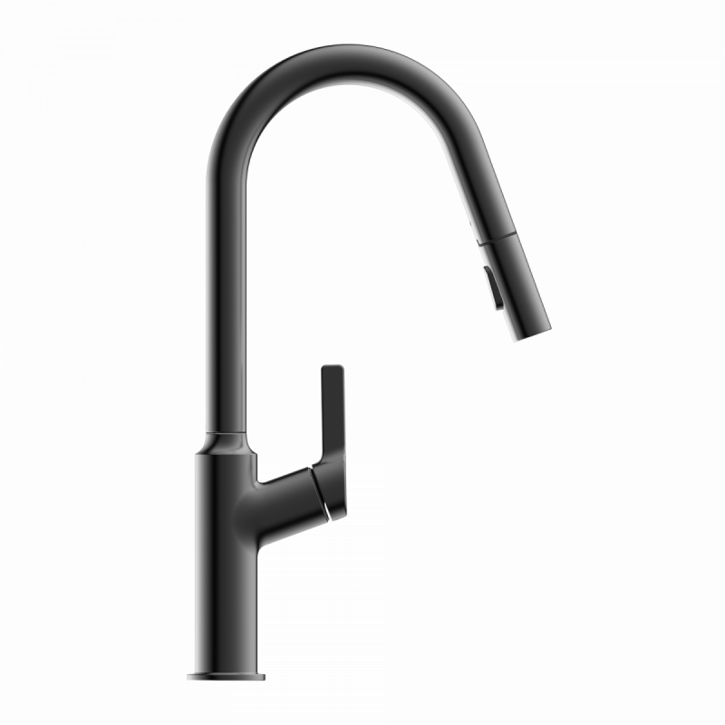 Okab, Kitchen faucet with curved spout and pull-down spray in matte graphite