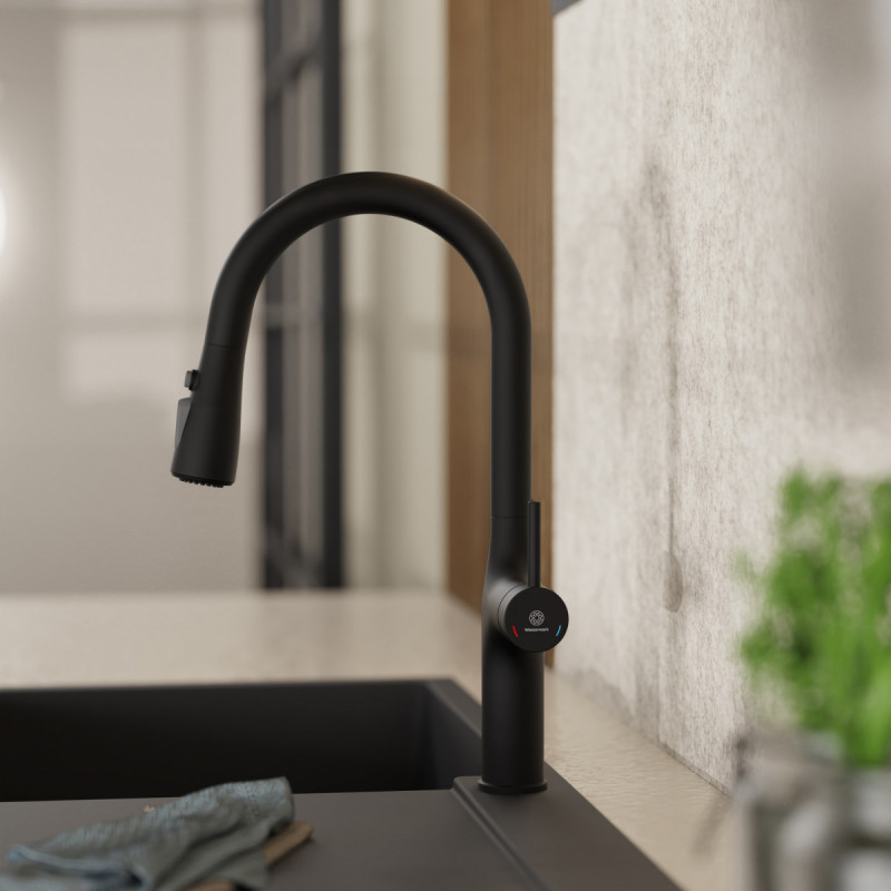 Maia, Kitchen faucet with arched spout and pull-down spray in matte black