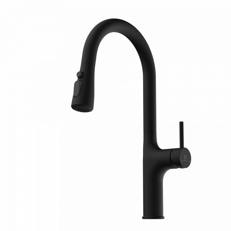 Maia, Kitchen faucet with arched spout and pull-down spray in matte black