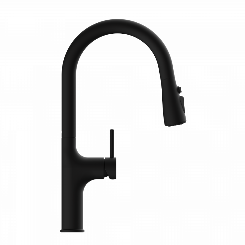 Maia, Kitchen faucet with arched spout and pull-down spray in matte black