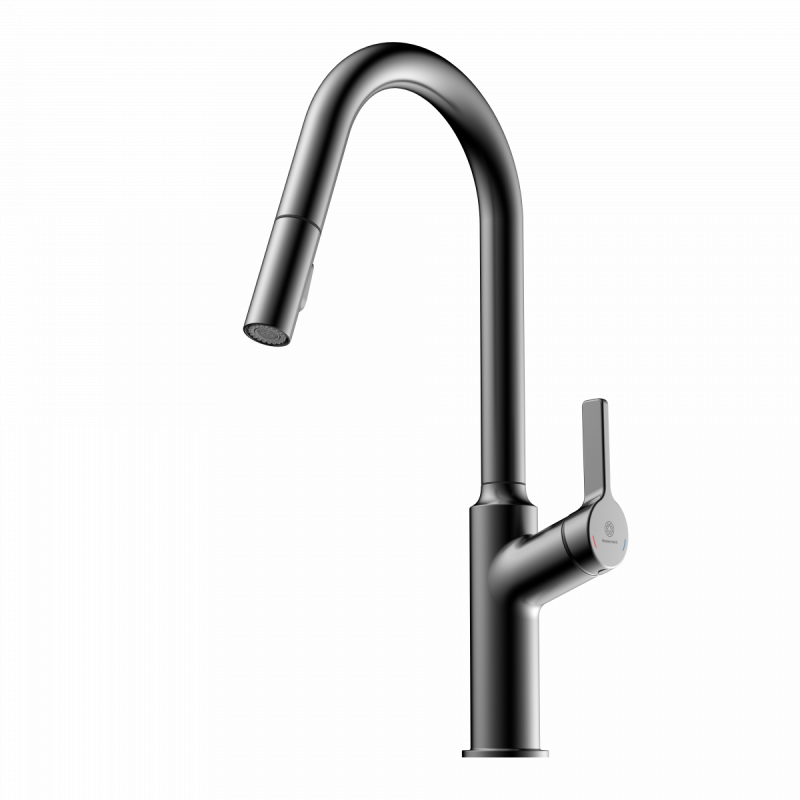 Okab, Kitchen faucet with curved spout and pull-down spray in matte graphite