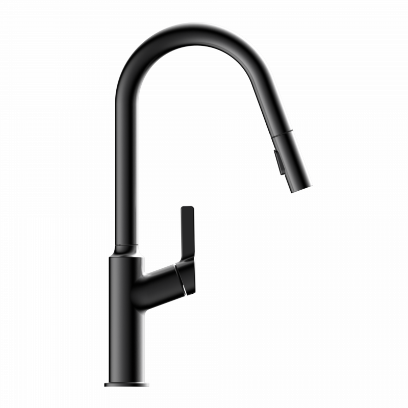 Okab, Kitchen faucet with curved spout and pull-down spray in matte graphite