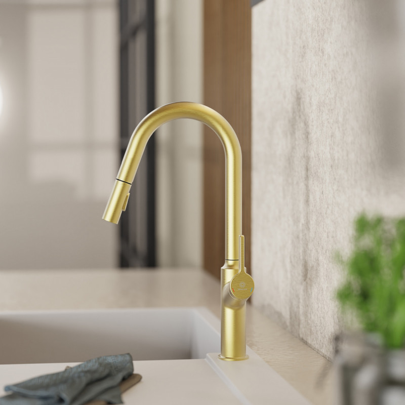 Okab, Kitchen faucet with curved spout and pull-down spray in brushed gold