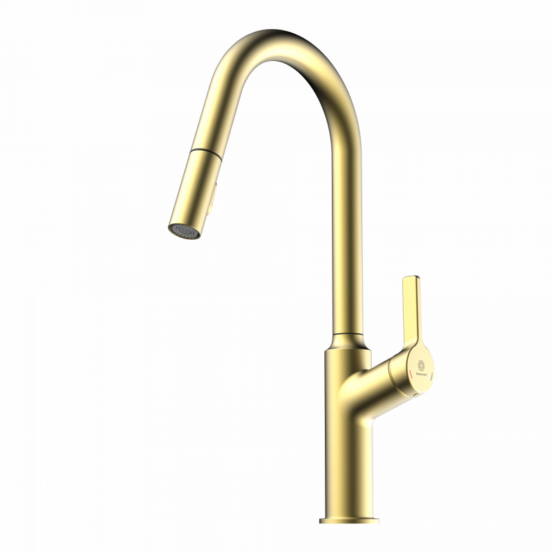 Okab, Kitchen faucet with curved spout and pull-down spray in brushed gold