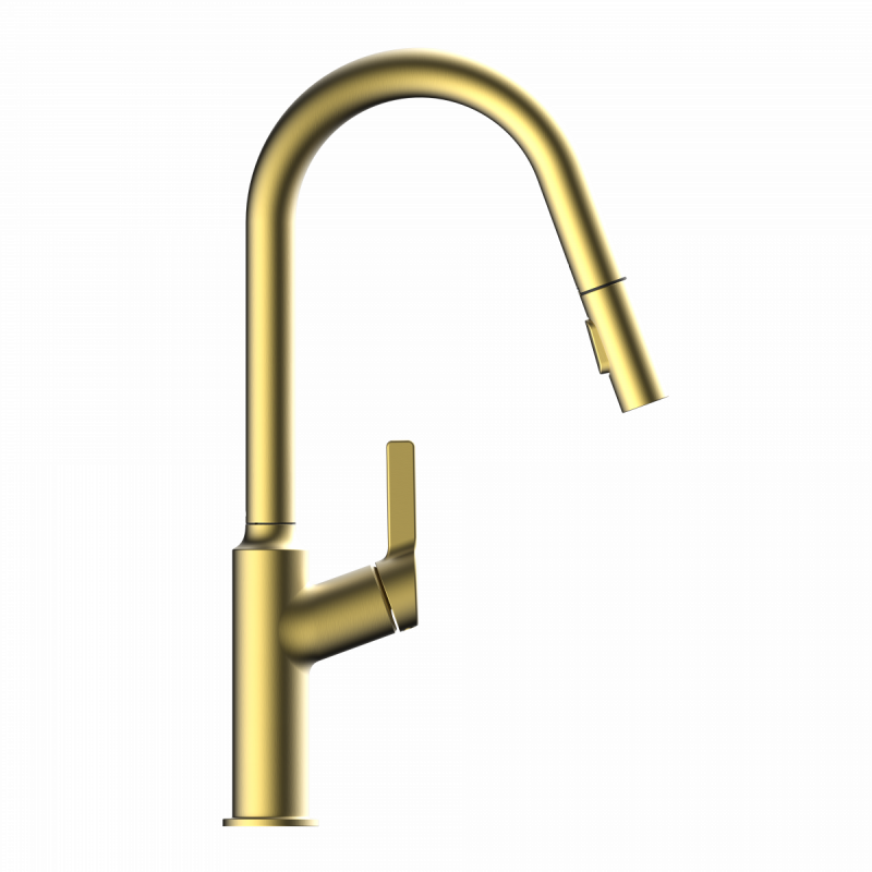 Okab, Kitchen faucet with curved spout and pull-down spray in brushed gold