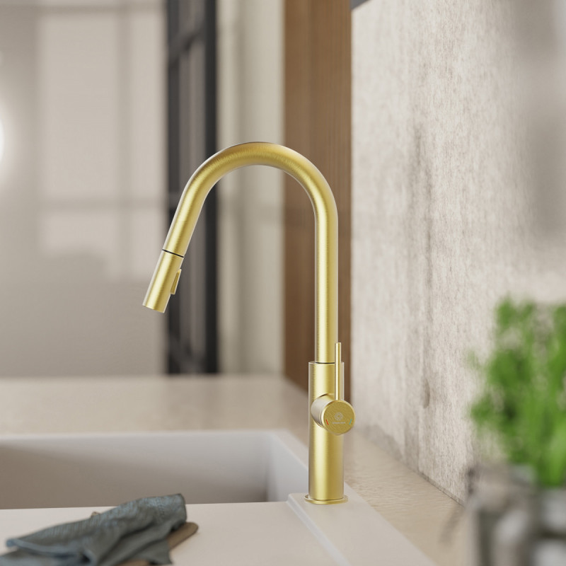 Rana Curve, Kitchen faucet with curved spout and pull-down spray in brushed gold