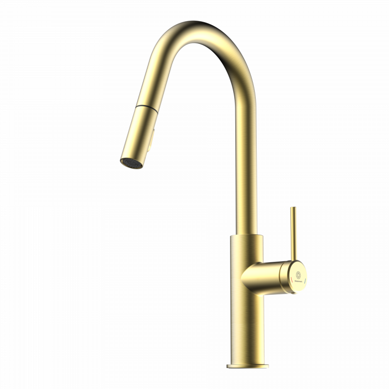 Rana Curve, Kitchen faucet with curved spout and pull-down spray in brushed gold