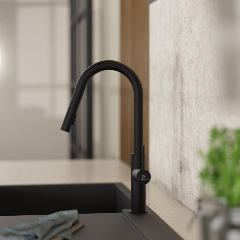 Rana Curve, Kitchen faucet with curved spout and pull-down spray in matte black