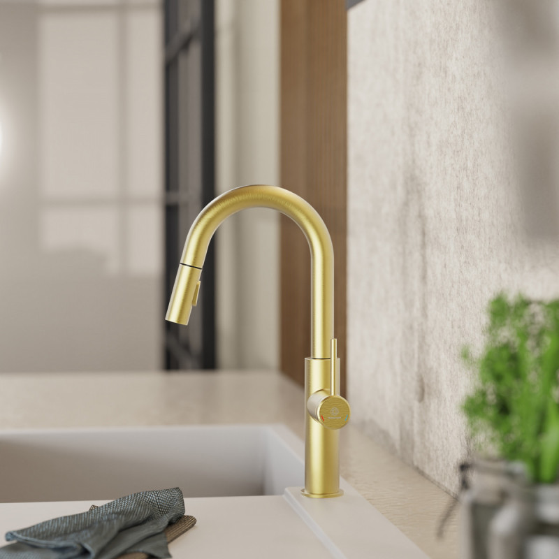 Rana Prep, Kitchen faucet with low curved spout and pull-down spray in brushed gold