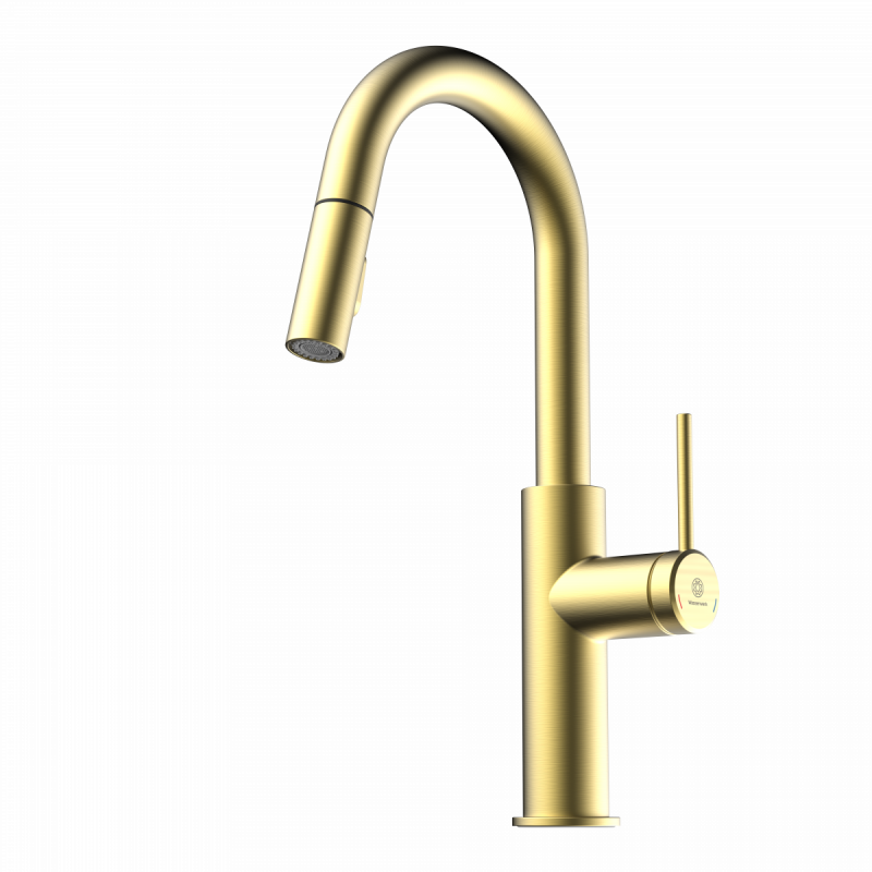 Rana Prep, Kitchen faucet with low curved spout and pull-down spray in brushed gold