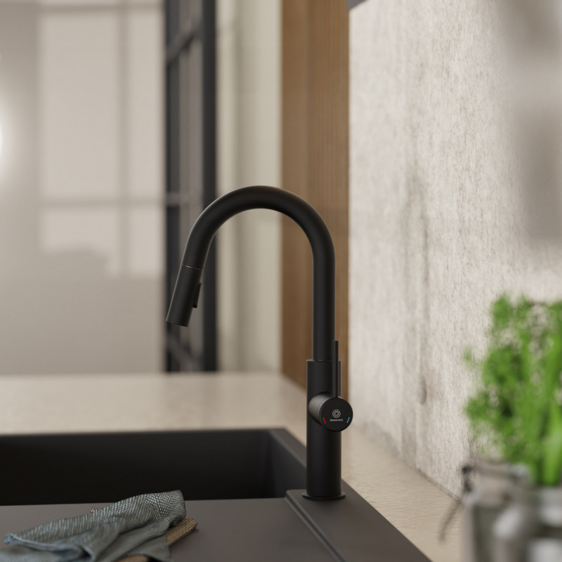 Rana Prep, Kitchen faucet with low curved spout and pull-down spray in matte black