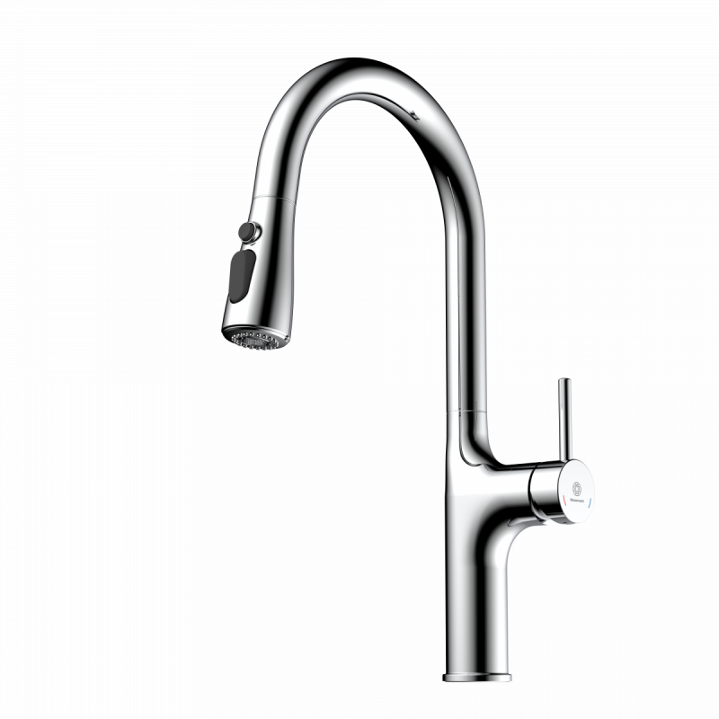 Maia, Kitchen faucet with arched spout and pull-down spray in chrome